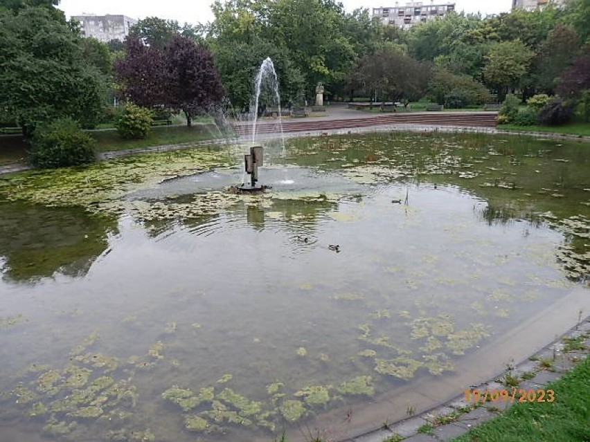 Kultowa fontanna przy ulicy Bohaterów Warszawy w Kielcach jest tak brudna, że uciekły kaczki