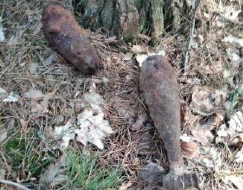 W lesie pod Warszawą odnaleziono ponad 50 pocisków artyleryjskich. Pochodzą z II wojny światowej