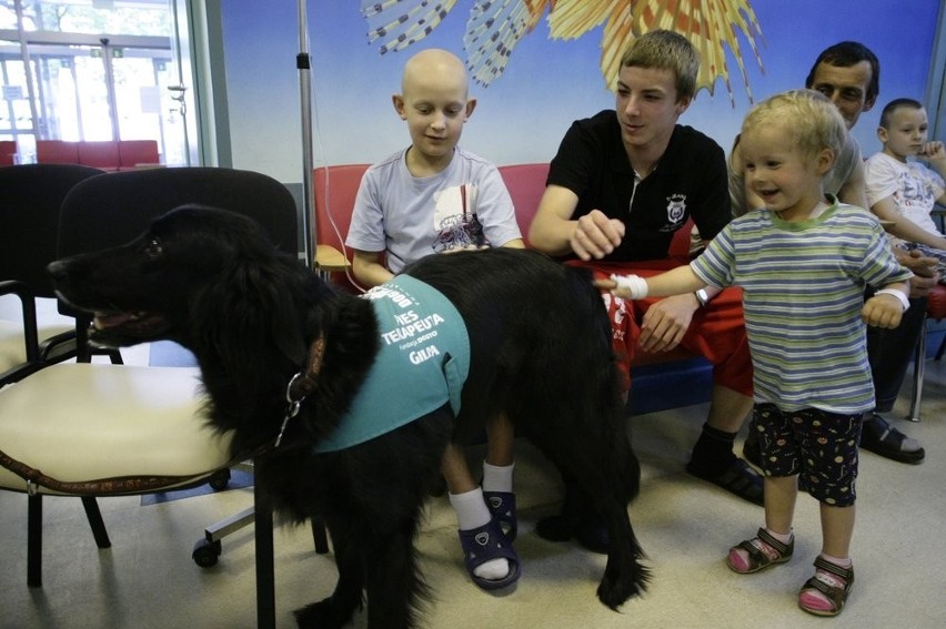 Psi terapeuci z Gdyni odwiedzili dzieci na Oddziale Onkologii Gdańskiego Uniwersytetu Medycznego