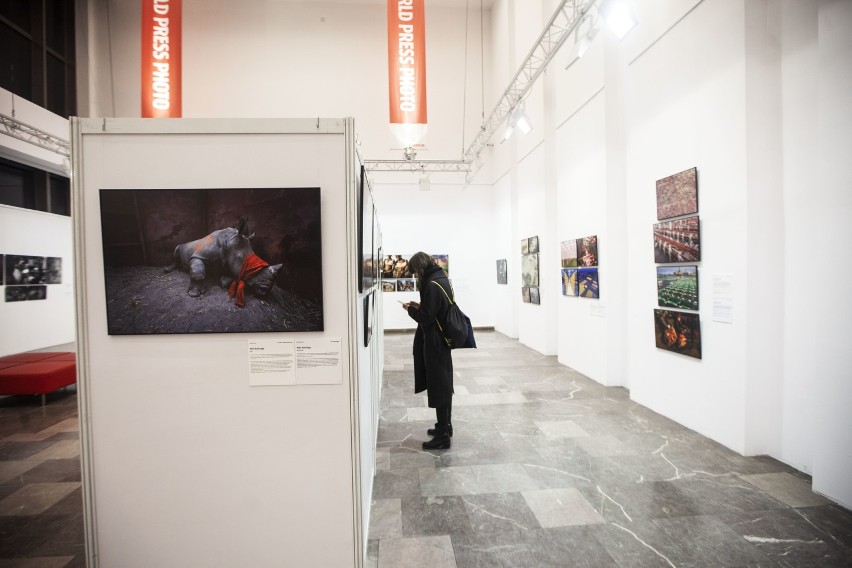 World Press Photo 2018. Najlepsze fotografie prasowe na wystawie w Krakowie! [ZDJĘCIA]