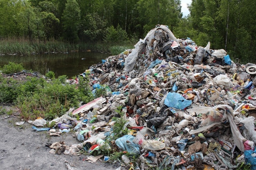 Przecieszyn. Góry śmieci zakryły staw