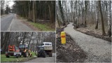 Nowa alejka w niedostępnej wcześniej części Parku Piaskówka w Tarnowie. W planach pomost nad stawem i tężnia. Zobacz zdjęcia