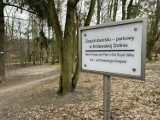 Królewski park we Wrzeszczu w niekrólewskim otoczeniu. Spalony wrak auta i śmieci 