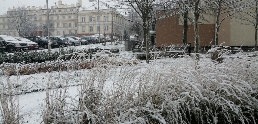 Pierwszy śnieg w Pruszczu Gdańskim. Biało zrobiło sie na ulicach. Zobaczcie zdjęcia!