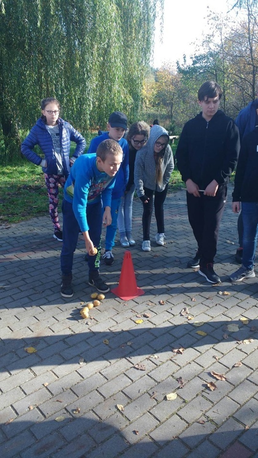 KGW w Górznej i Sołtys zorganizowali wczoraj Dzień Ziemniaka