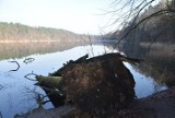 Chodzieska przyroda - przedwiośnie czuć w powietrzu. Zobacz zdjęcia!