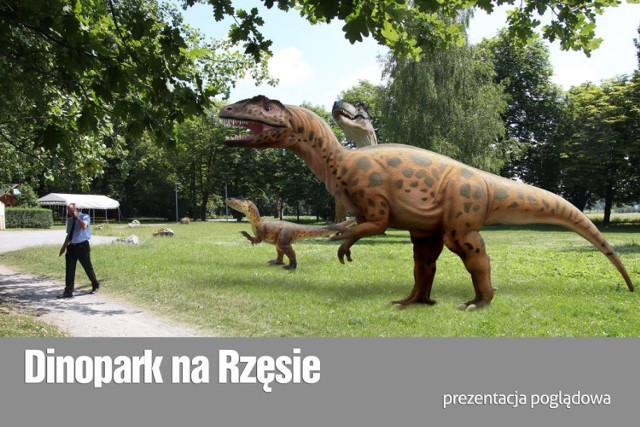 Staw Rzęsa Siemianowice: Wykopaliska archeologiczne na Rzęsie. Szukają dinozaurów