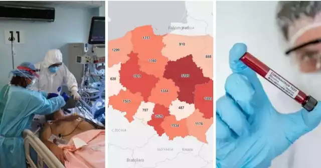 W woj. śląskim przybyło 2529 nowych przypadków zakażenia koronawirusem. 

W całej Polsce odnotowano ich 24 882. 

To nowe dane podane przez Ministerstwo Zdrowia 18 listopada 2021 roku. 

Ilu jest chorych w poszczególnych miastach?

Szczegółowe informacje o zakażeniach w naszym regionie znajdziecie na kolejnych slajdach >>>