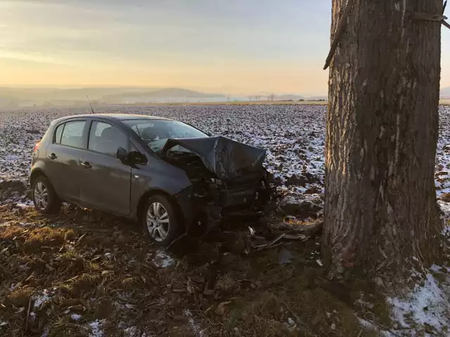 DW 381: Opel Corsa z nieznanych przyczyn zjechał z drogi i uderzył w drzewo [FOTO I WIDEO]