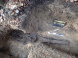 Odkopano szczątki niemieckiego żołnierza w Łomnicy pod Trzcianką. Spocznie on na cmentarzu w Miłostowie 