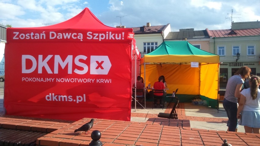 Akcja rejestracji potencjalnych dawców szpiku w Chełmie