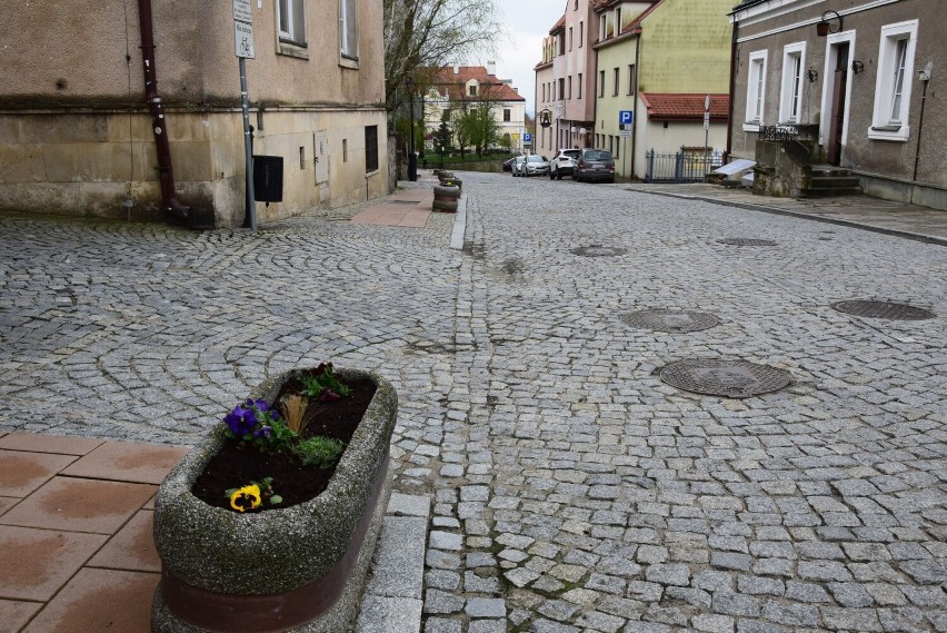 Bratki już zdobią Sandomierz. Wiosna zawitała do Królewskiego Miasta. Przybyło kwiatów wieloletnich. Zobacz zdjęcia