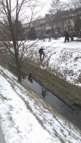 Bohaterska akcja Straży Miejskiej. Zmarznięty pies uratowany, ludzie bili brawo [WIDEO] 