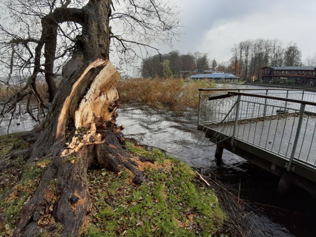 Uszkodzenia parkowego pomostu w Szczecinku