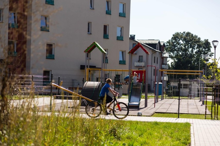 Po ostatnim wywiadzie senatora Polski 2050 znów zrobiło się...