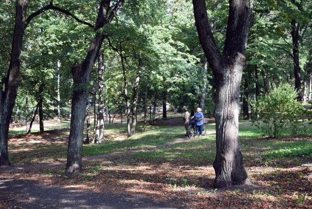 Pierwszy dzień kalendarzowej jesieni w Zielonej Górze. Zobaczcie, jak pięknie jest w naszym mieście.