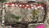Mikoszewo. Obrazy z mchu i paproci powstały na plaży.Kreatywność uczniów nie zna granic