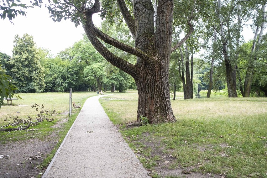 Park Sielecki, czyli odpoczynek nad kameralnym stawem