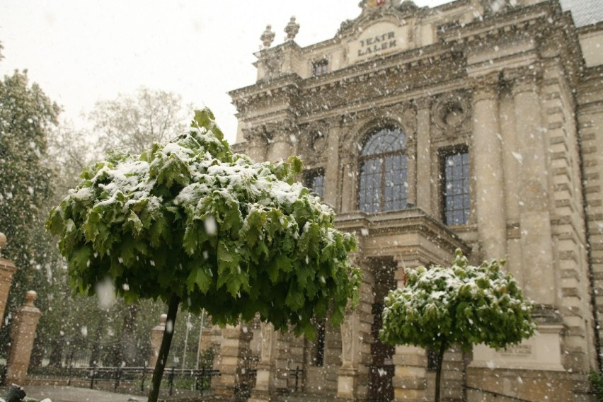 Majowa śnieżyca we Wrocławiu [foto].