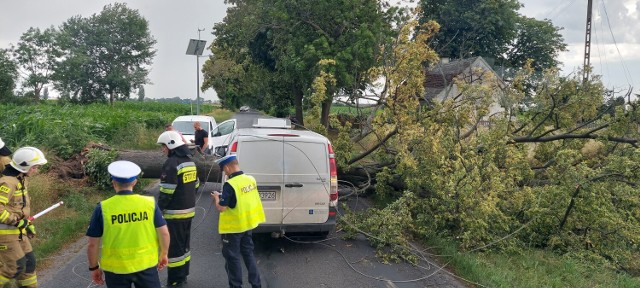 O krok od tragedii pod Pleszewem. Na jadący samochód osobowy spadł konar zrywając linie energetyczne. Strażacy ruszyli z pomocą