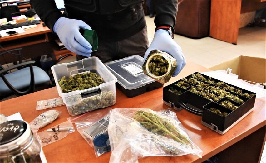 Szamotuły. Kryminalni zabezpieczyli ponad pół kilograma marihuany. Młody mężczyzna usłyszał już zarzuty [FILM, ZDJĘCIA]