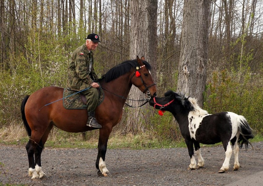 Okolice Krępy 22.04.2012