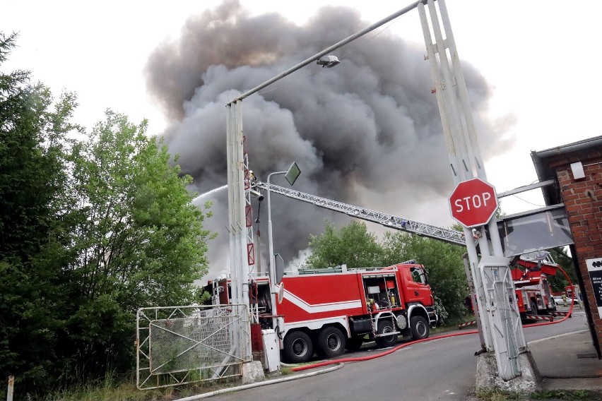 Trwa walka strażaków z pożarem opon w Wilkowie. Wodę ciągną z zalanej kopalni Lena