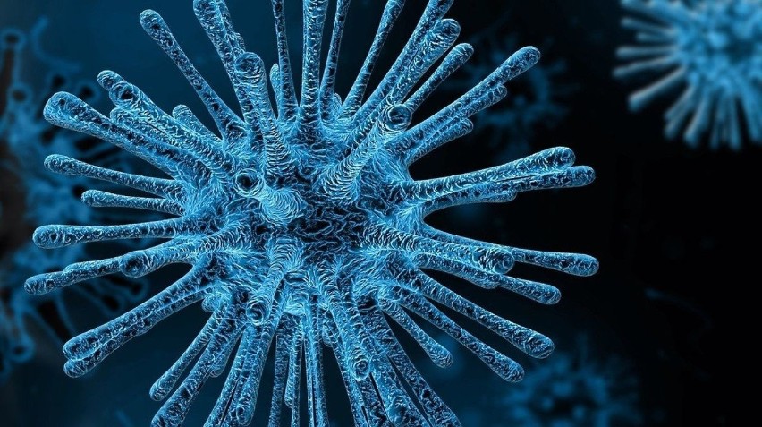 Pochodzący ze Świdnicy profesor rozpracował enzym kluczowy w walce z koronawirusem 