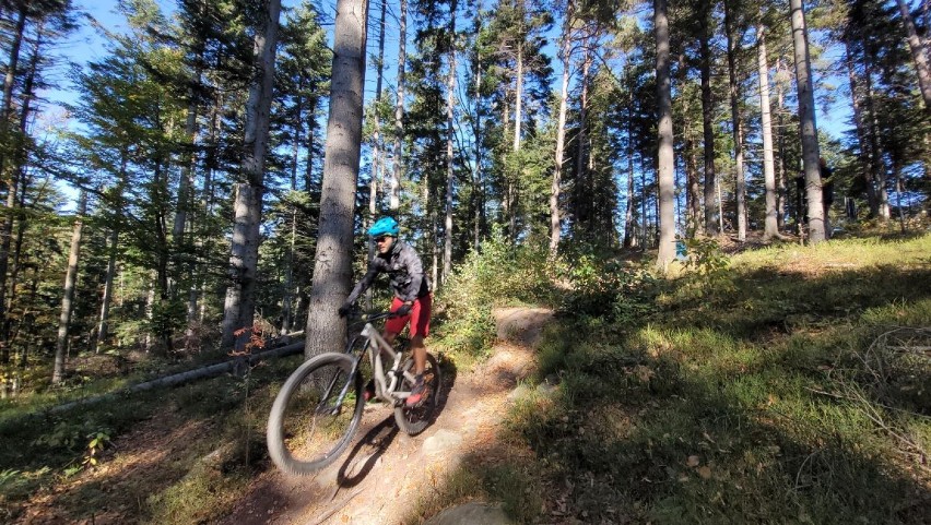 Górskie trasy rowerowe MTB powstały w Czarnorzekach. To pierwsze takie trasy w lasach Podkarpacia [ZDJĘCIA]