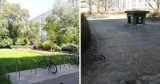 Zieleń zamiast betonu w Warszawie. Miasto zmienia betonowe i asfaltowe podwórka w miejsca pełne roślinności