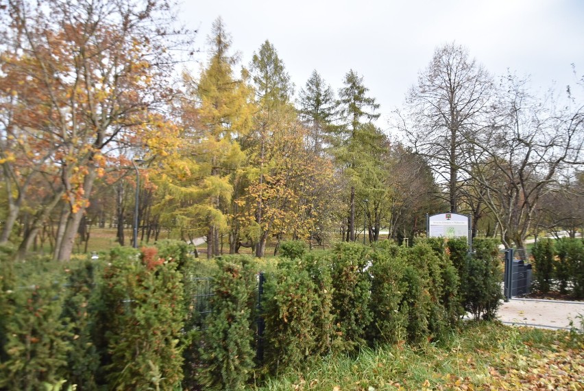 Park Sybiraków w Wałbrzychu w barwach jesieni