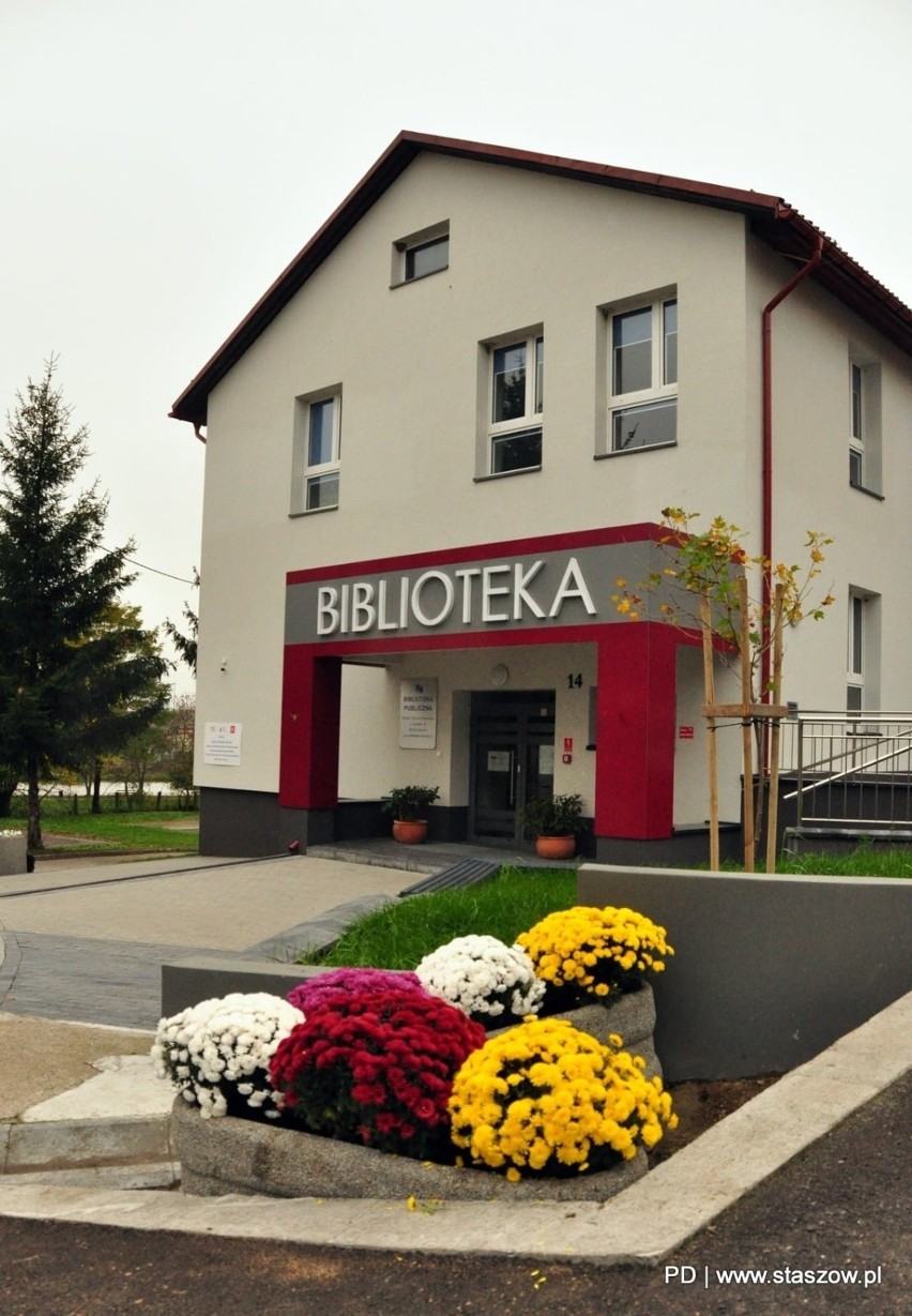 Gmina Staszów pomogła sprzedawcom chryzantem. Kwiaty stanęły w różnych zakątkach miasta (ZDJĘCIA)