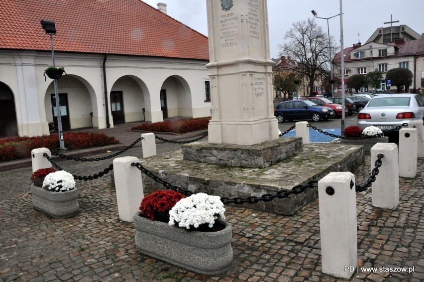 Gmina Staszów pomogła sprzedawcom chryzantem. Kwiaty stanęły w różnych zakątkach miasta (ZDJĘCIA)