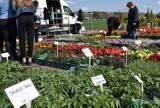 III Wiosenne Targi Ogrodnicze Przechlewo 2023 odbędą się 22 i 23 kwietnia. Zapisy wystawców już ruszyły