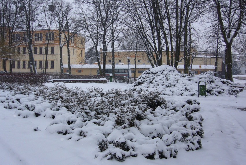 Polkowice/Lubin: Marcowa zima