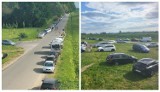 Samochody nadal rozjeżdżają zielone płuca Opola. Samowolka kierowców na wyspie Bolko musi się zakończyć 