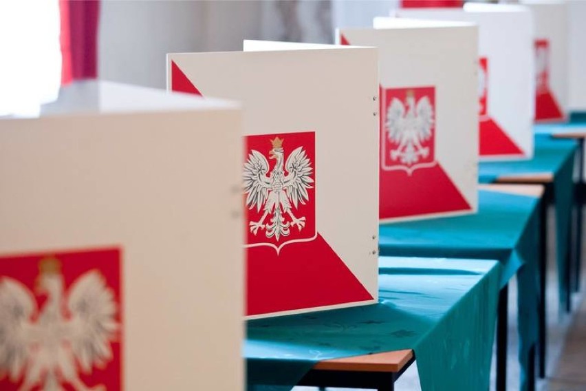 Wybory Radomsko 2019: Wyniki wyborów 2019 do Sejmu RP (73,03 procent komisji)