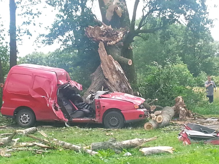 Tragiczny wypadek w Zgierzu. Drzewo spadło na samochód, nie żyje kierowca