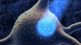 Badacze próbują zwalczać raka za pomocą optogenetyki