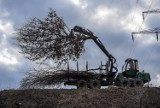 Gdańsk: Ruszyła wycinka drzew na miejskim odcinku „bajpasu kartuskiego”. Wykonawca szykuje się do budowy kolejowego objazdu do Kartuz
