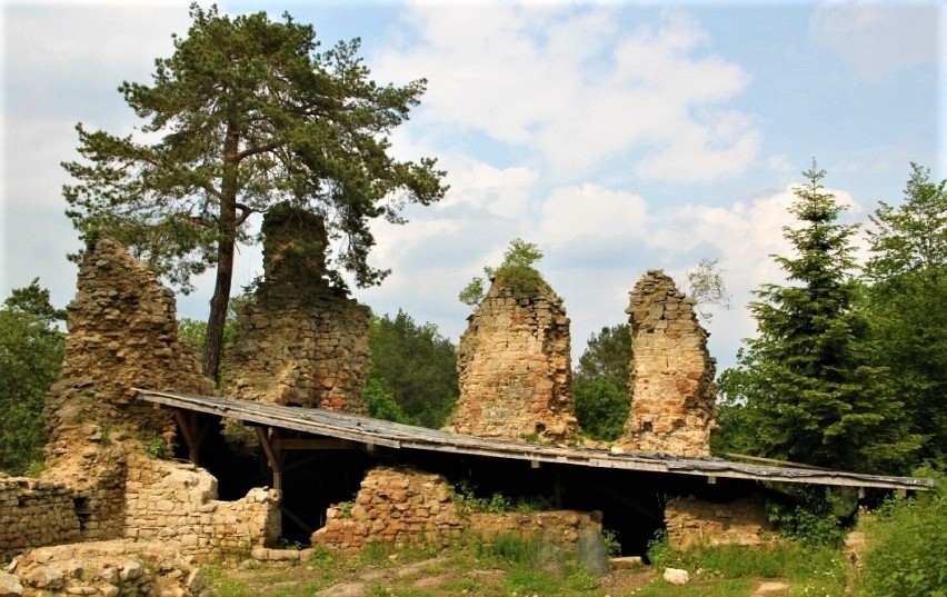 Ostatnimi właścicielami Rożnowa, do czasów nacjonalizacji po...