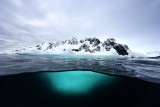 FOTOGRAFIA - Poznaniacy nagrodzeni w konkursie National Geographic