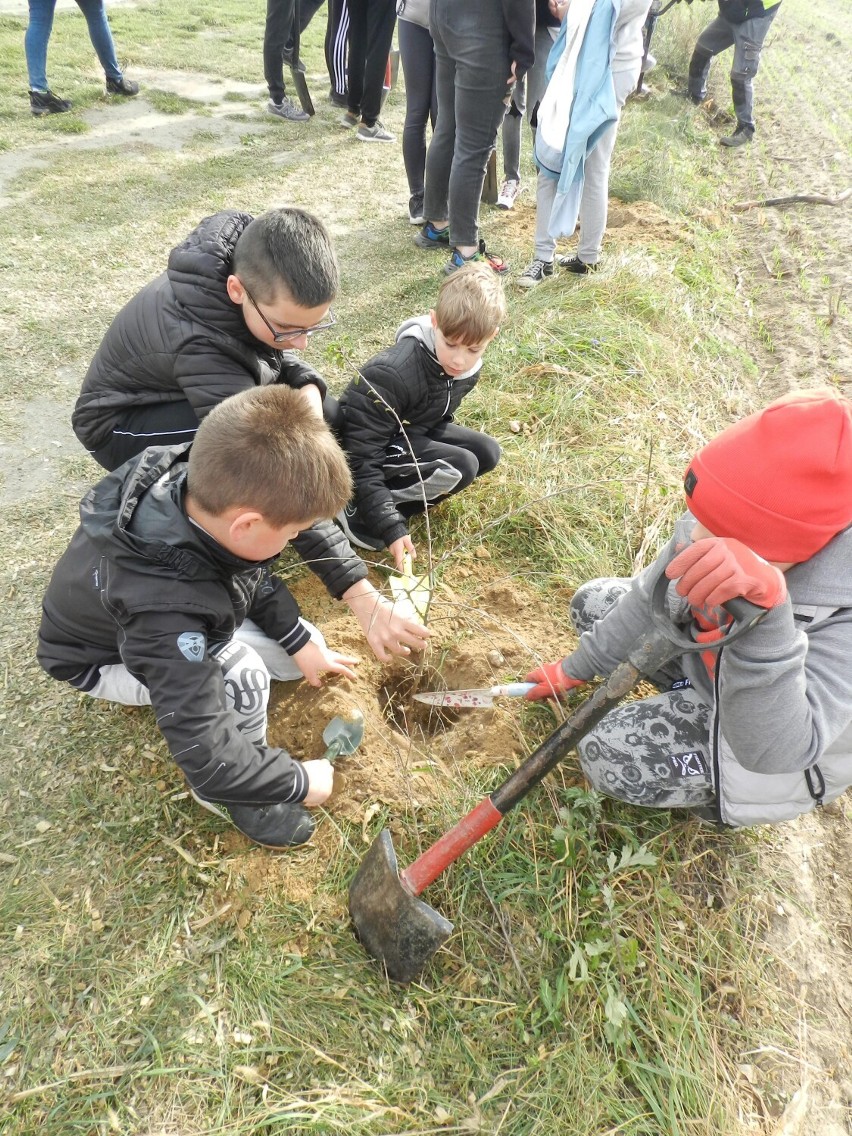 Wielki sukces akcji ekologicznej zorganizowanej w Długołęce