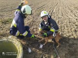 Czempiń. Straż pożarna nie tylko gasi pożary. Na pomoc strażaków mogą liczyć także zwierzęta