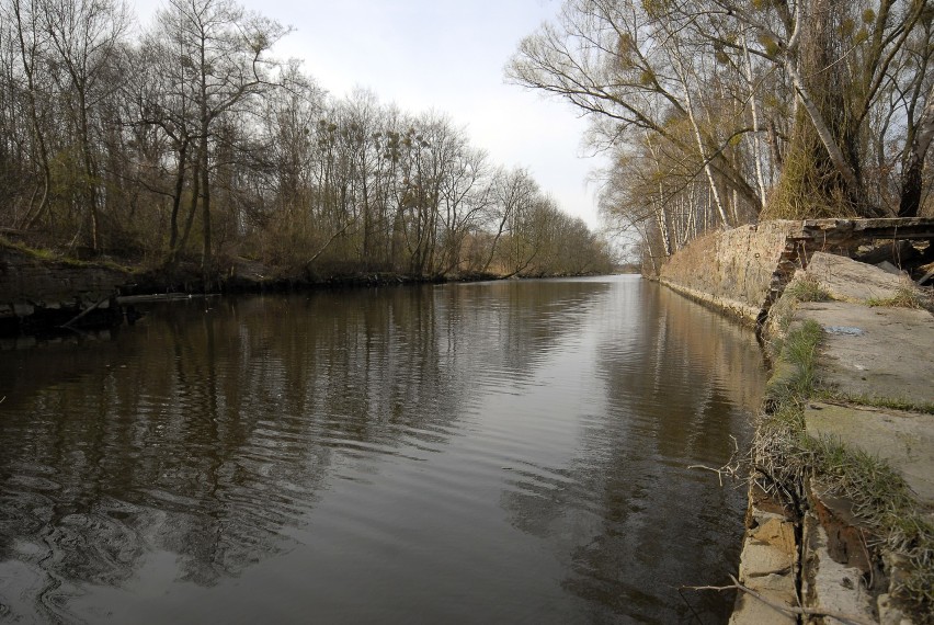 Kanał dawnej cementowni Stern