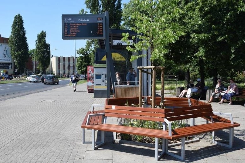 Zielona ściana na przystanku MZK w Zielonej Górze