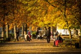 Pogoda w Łodzi i regionie  na czwartek 19 października