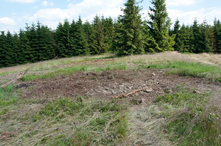 Księżycowy krajobraz na górze Prusów. Miłośnicy przyrody...