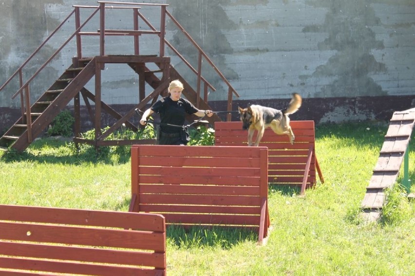 Aslan i Sara - nowe psy w służbie szczecińskiej policji już po egzaminach [ZDJĘCIA]