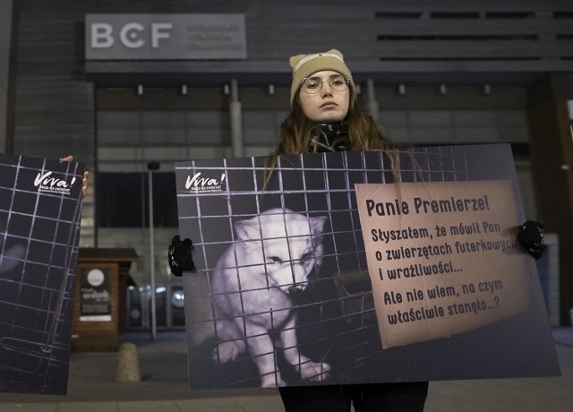 Dziś, 25 listopada, Ogólnopolski Dzień Bez Futra. Aktywiści Fundacji Viva! wyszli w Bydgoszczy na ulice, by przypomnieć mieszkańcom, a w szczególności politykom o cierpieniu zwierząt hodowanych na futro